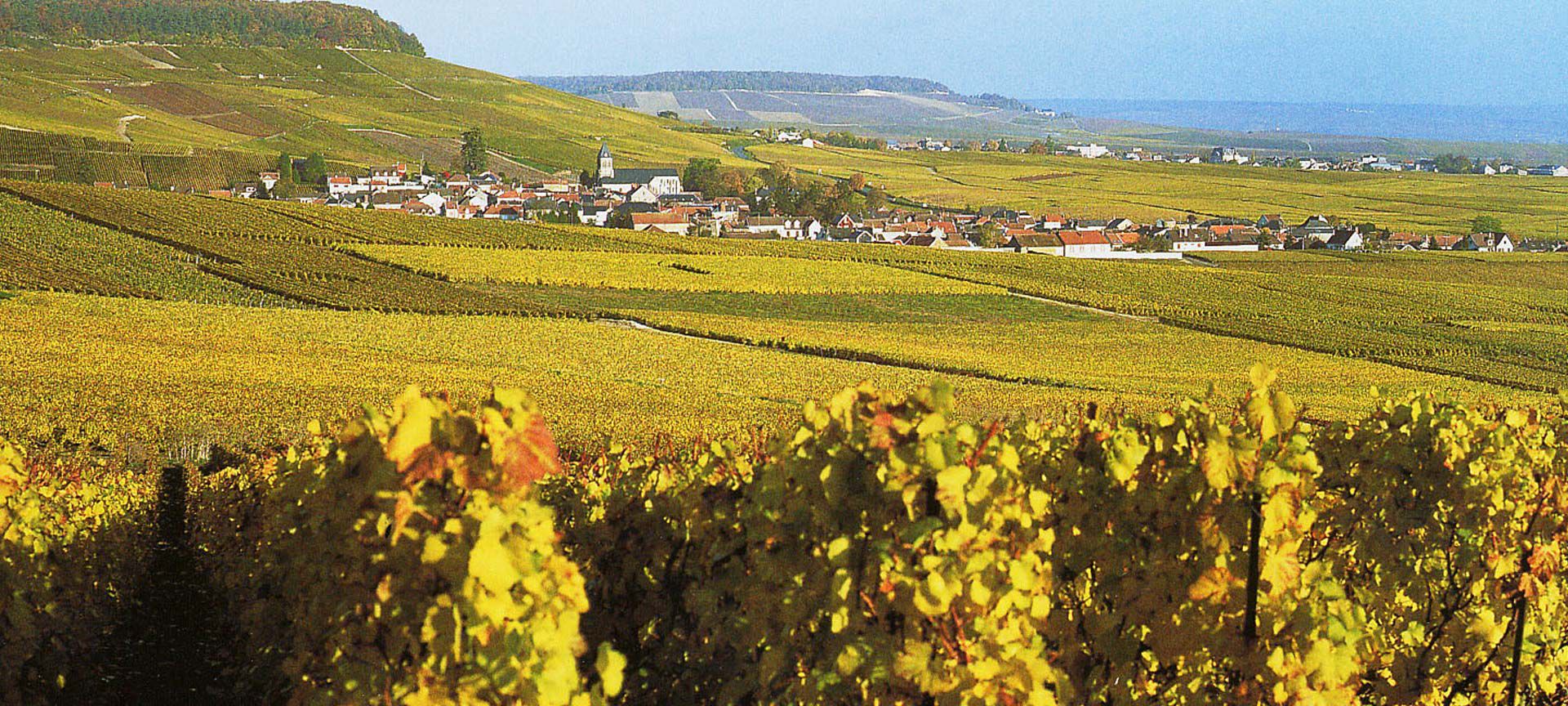  Palatinate wine region Germany